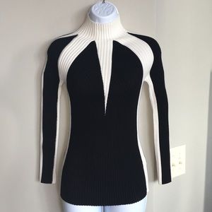 Turtleneck Sweater Venus